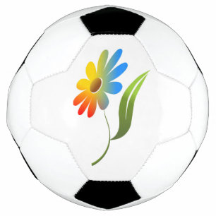 RAINBOW-BLUME FUßBALL