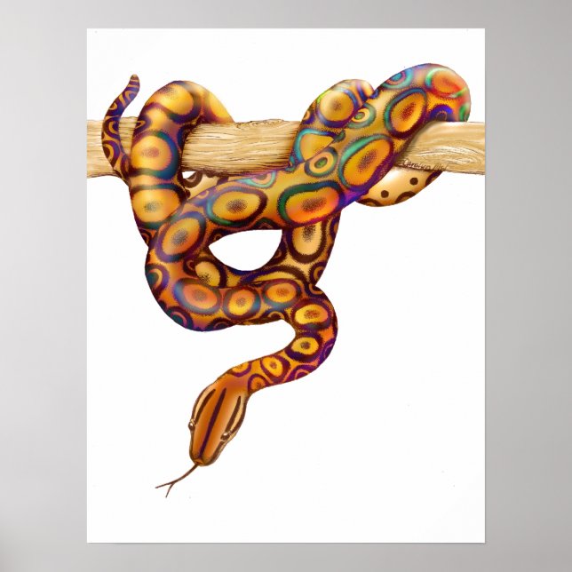 Rainbow Boa Snake Print Poster (Vorne)
