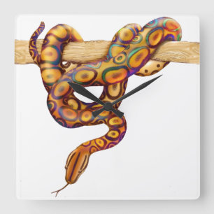 Rainbow Boa Snake Wall Clock Quadratische Wanduhr