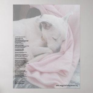 Rainbow Bridge (bearbeitet) Poster