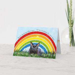 Rainbow Bridge Cat Loss Beileid Karte