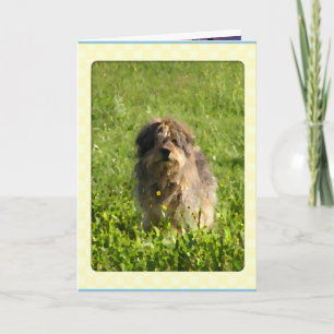 Rainbow Bridge Dog Cards Dankeskarte