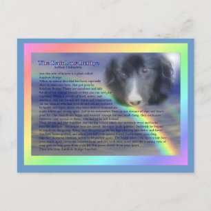 Rainbow Bridge Gedicht Pet Loss Beileid Postkarte