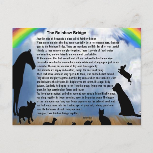 Rainbow Bridge Gedicht Postkarte (Vorderseite)
