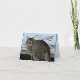 Rainbow Bridge - Katzen Gedicht Beileid Karte