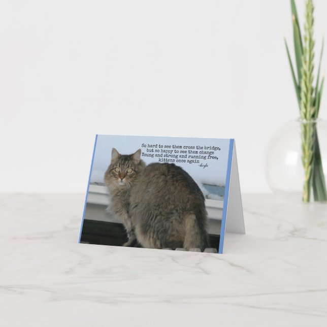 Rainbow Bridge - Katzen Gedicht Beileid Karte (Vorderseite)