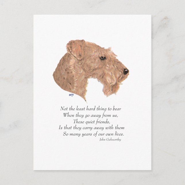 Rainbow Bridge Keepake Postkarte (Vorderseite)