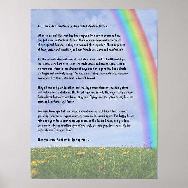 Rainbow Bridge Poster (Vorne)