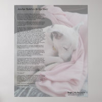 Rainbow Bridge-Poster der Retter
