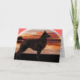 Rainbow Bridge Sympathy Card: Belgische Tervuren Karte