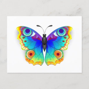Rainbow Butterfly Peacock Eye Feiertagspostkarte