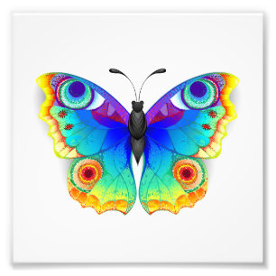 Rainbow Butterfly Peacock Eye Fotodruck