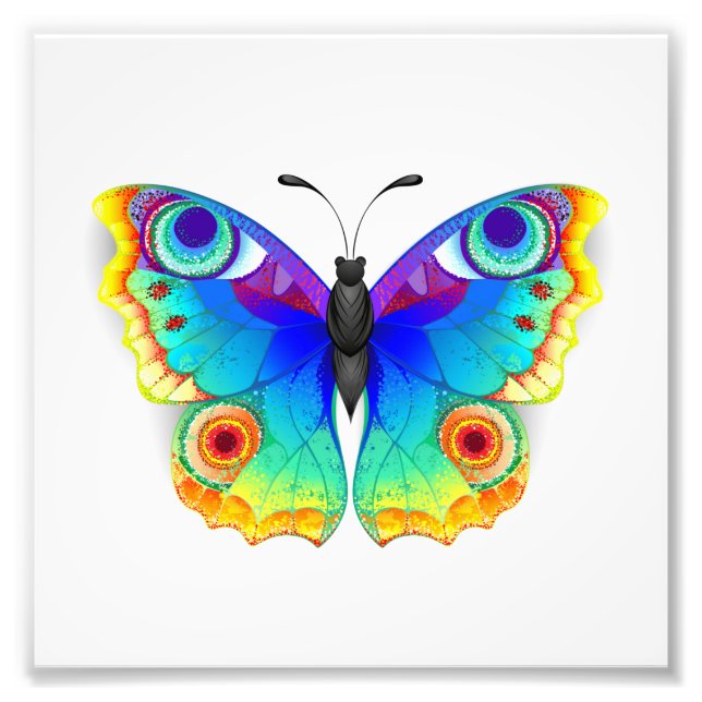Rainbow Butterfly Peacock Eye Fotodruck (Vorne)