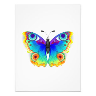 Rainbow Butterfly Peacock Eye Fotodruck