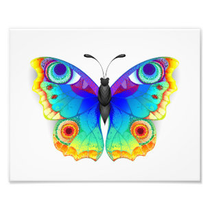 Rainbow Butterfly Peacock Eye Fotodruck