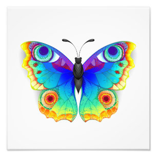 Rainbow Butterfly Peacock Eye Fotodruck