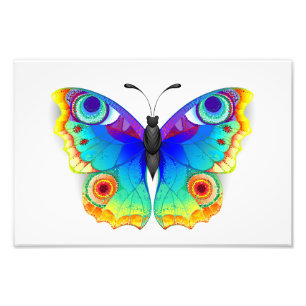 Rainbow Butterfly Peacock Eye Fotodruck