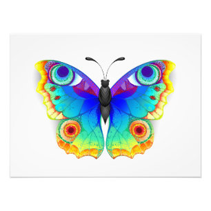 Rainbow Butterfly Peacock Eye Fotodruck