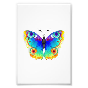 Rainbow Butterfly Peacock Eye Fotodruck