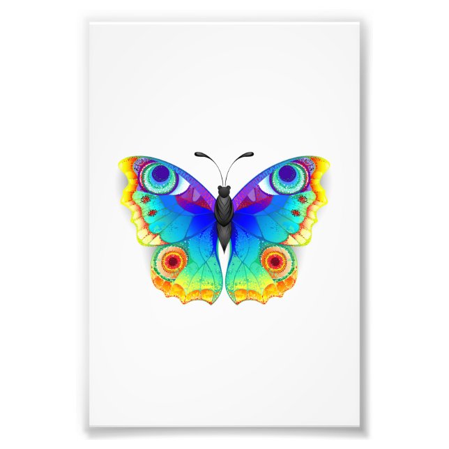 Rainbow Butterfly Peacock Eye Fotodruck (Vorne)