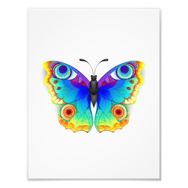 Rainbow Butterfly Peacock Eye Fotodruck (Vorne)