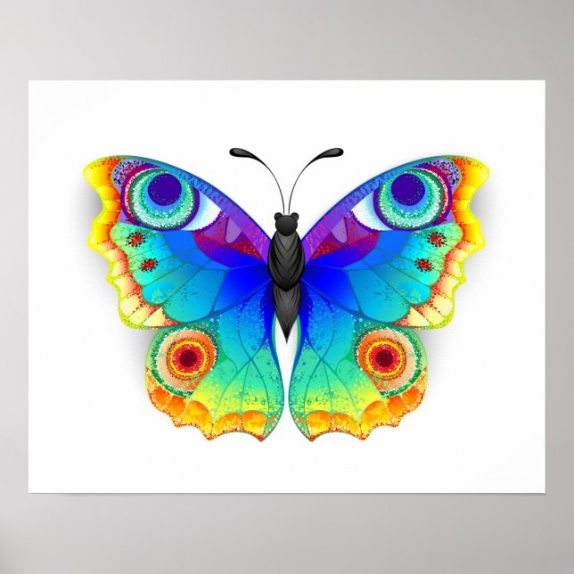 Rainbow Butterfly Peacock Eye Poster (Vorne)