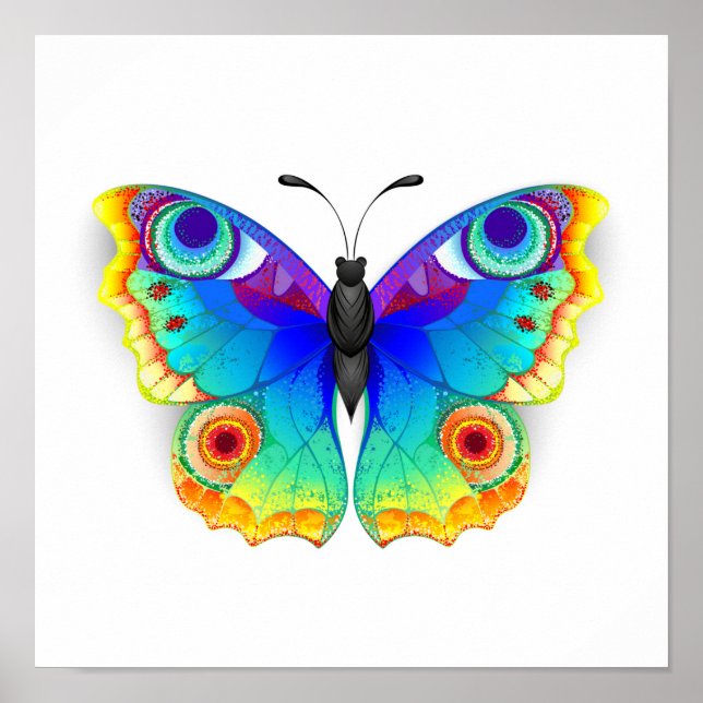 Rainbow Butterfly Peacock Eye Poster (Vorne)