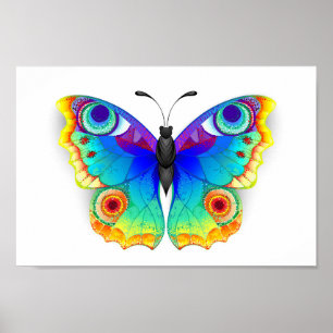 Rainbow Butterfly Peacock Eye Poster