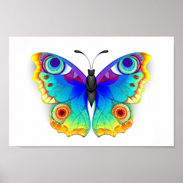 Rainbow Butterfly Peacock Eye Poster (Vorne)