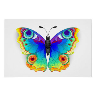Rainbow Butterfly Peacock Eye Poster