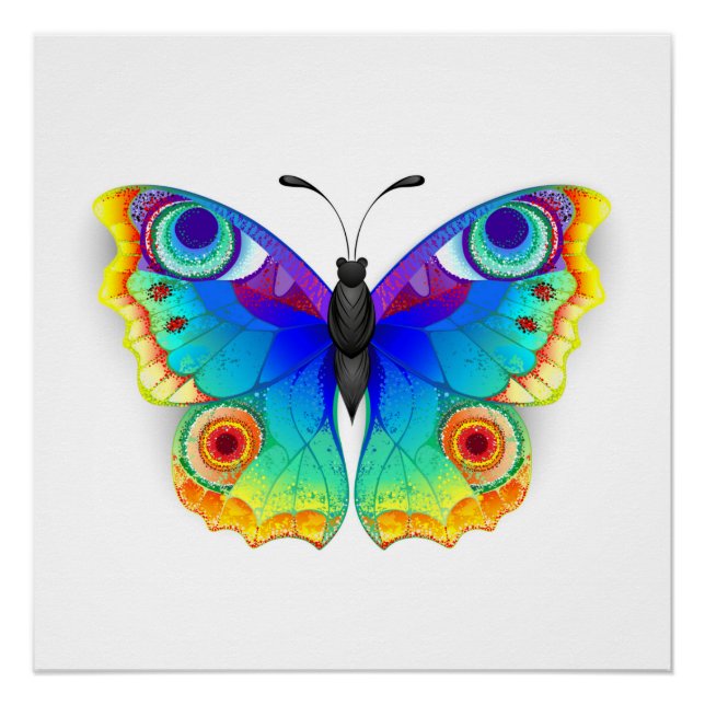 Rainbow Butterfly Peacock Eye Poster (Vorderseite)