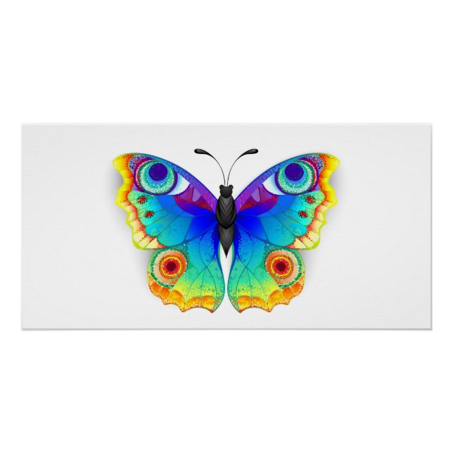 Rainbow Butterfly Peacock Eye Poster (Vorderseite)