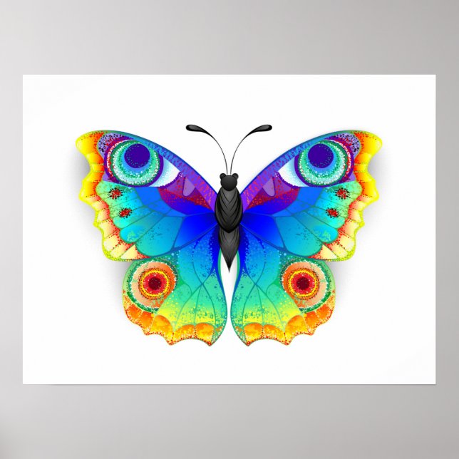 Rainbow Butterfly Peacock Eye Poster (Vorne)