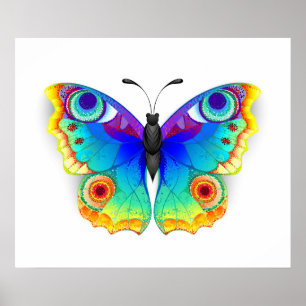 Rainbow Butterfly Peacock Eye Poster