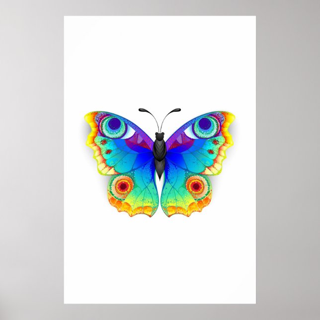 Rainbow Butterfly Peacock Eye Poster (Vorne)