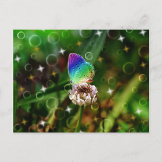 Rainbow Butterfly Postkarte