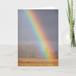 Rainbow Card 1 Karte
