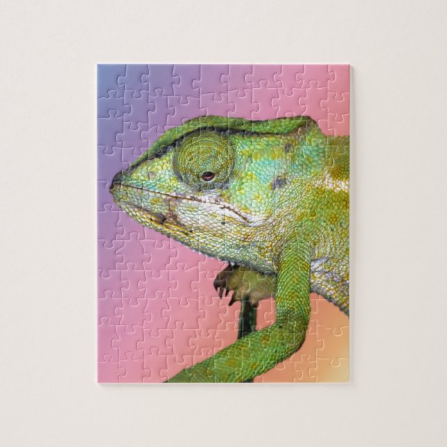 Rainbow Chameleon Puzzle (Vertikal)