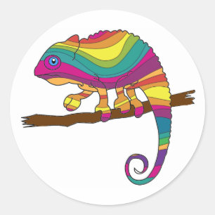 Rainbow Chameleon Stickers