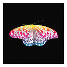 Rainbow-Colored Butterfly Fotodruck
