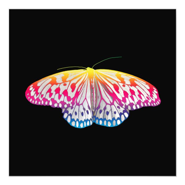 Rainbow-Colored Butterfly Fotodruck (Vorne)