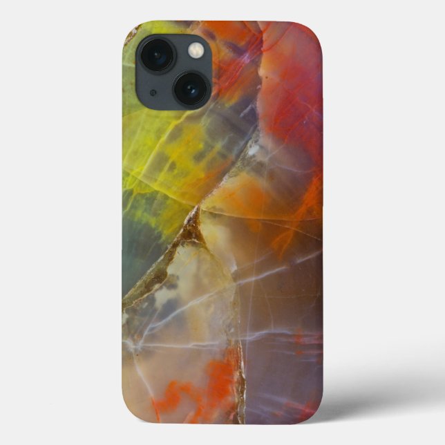 Rainbow Colored Petrified Wood Case-Mate iPhone Hülle (Rückseite)