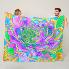 Rainbow Colors Fiesta Succulent Sedum Rosette Fleecedecke