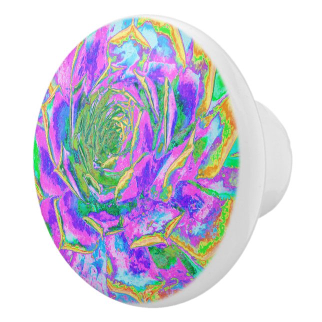 Rainbow Colors Fiesta Succulent Sedum Rosette Keramikknauf (Rechts)