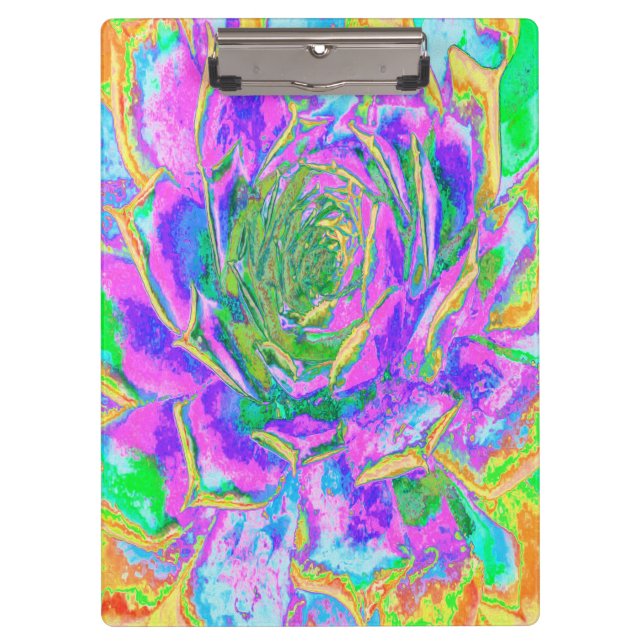 Rainbow Colors Fiesta Succulent Sedum Rosette Klemmbrett (Vorderseite)