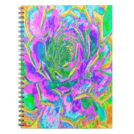 Rainbow Colors Fiesta Succulent Sedum Rosette Notizblock