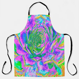 Rainbow Colors Fiesta Succulent Sedum Rosette Schürze