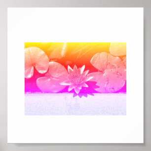 Rainbow Colors Water Lily Blume Pflanze Poster