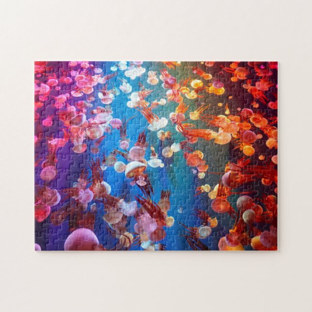 Rainbow-Colosseum Puzzle (Horizontal)