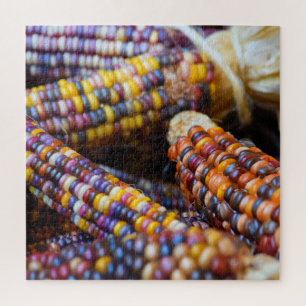 Rainbow Corn Cobs Colors of Fall - 20x20 - 676 Stk Puzzle